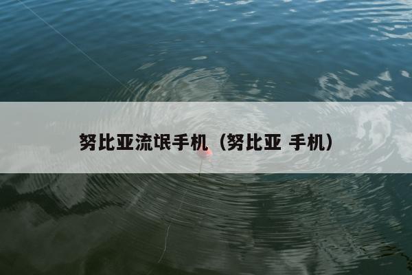 努比亚流氓手机（努比亚 手机）