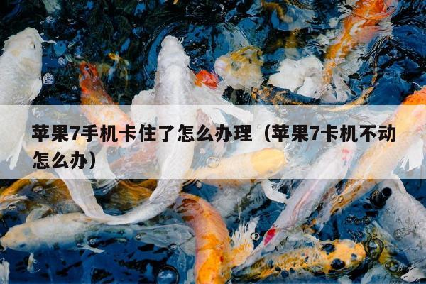 苹果7手机卡住了怎么办理（苹果7卡机不动怎么办）