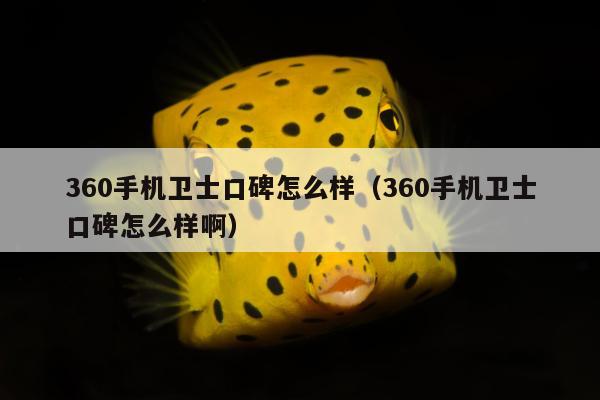 360手机卫士口碑怎么样（360手机卫士口碑怎么样啊）