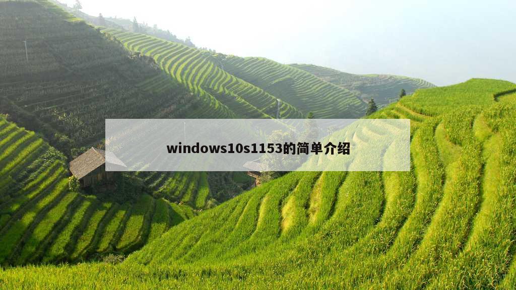 windows10s1153的简单介绍