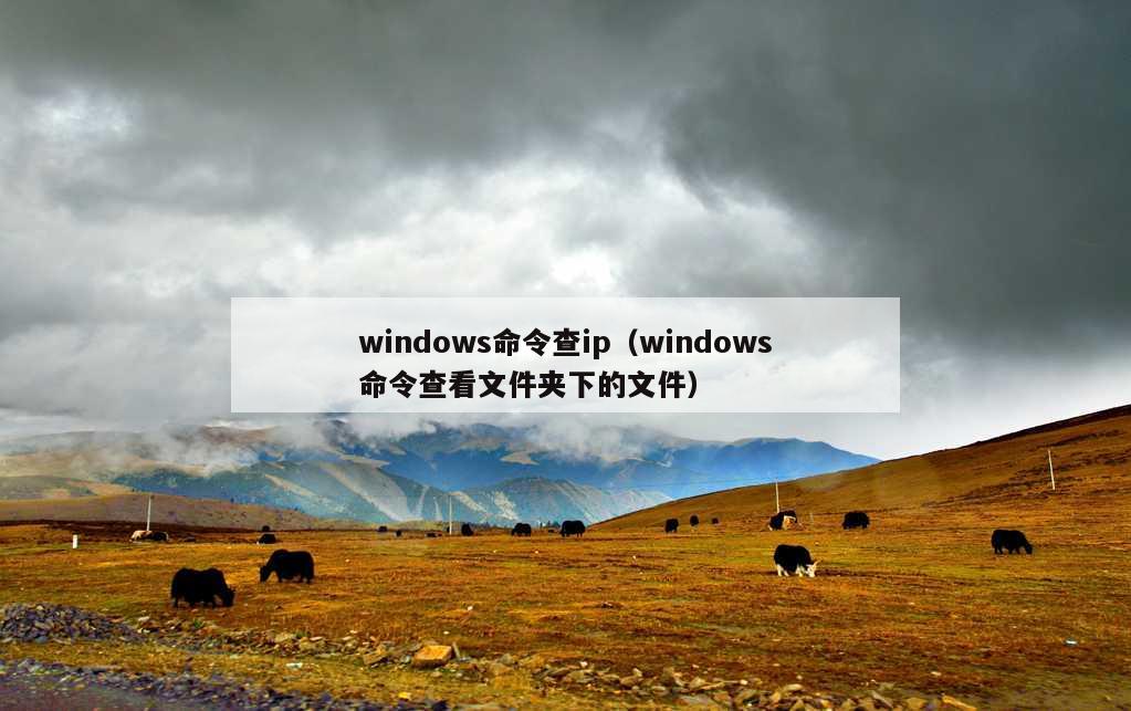 windows命令查ip（windows命令查看文件夹下的文件）