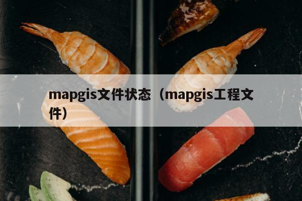 mapgis文件状态（mapgis工程文件）