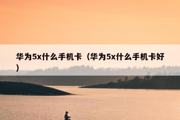 华为5x什么手机卡（华为5x什么手机卡好）