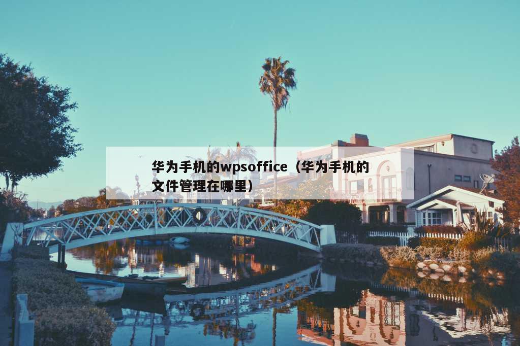 华为手机的wpsoffice（华为手机的文件管理在哪里）