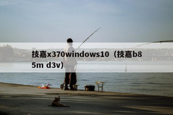 技嘉x370windows10（技嘉b85m d3v）