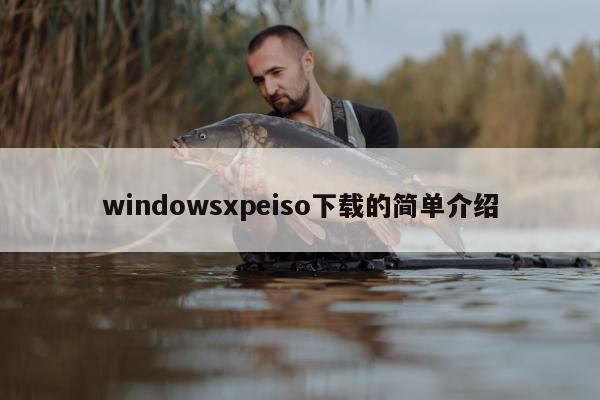 windowsxpeiso下载的简单介绍