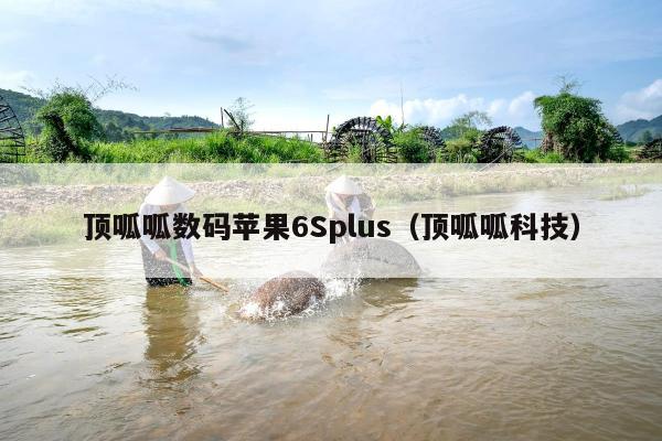 顶呱呱数码苹果6Splus（顶呱呱科技）