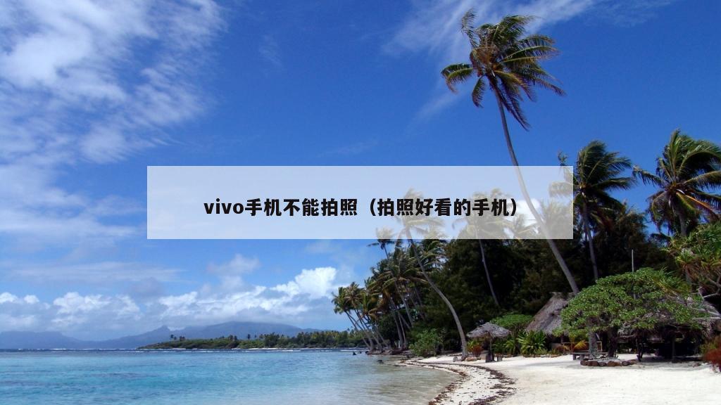 vivo手机不能拍照（拍照好看的手机）