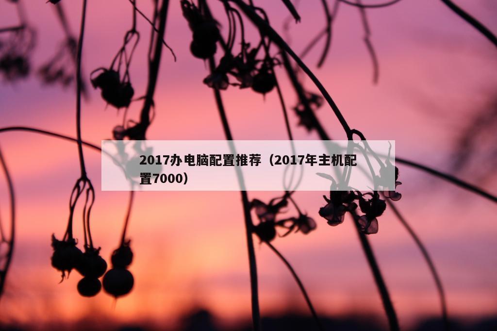 2017办电脑配置推荐（2017年主机配置7000）