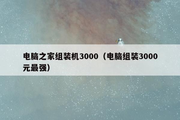 电脑之家组装机3000（电脑组装3000元最强）