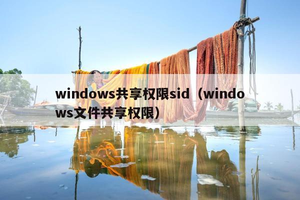 windows共享权限sid（windows文件共享权限）