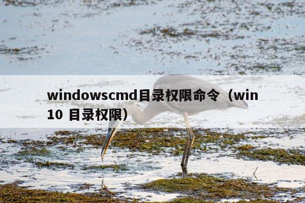 windowscmd目录权限命令（win10 目录权限）