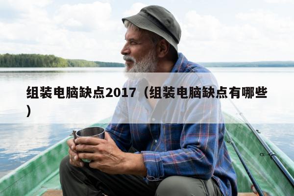 组装电脑缺点2017（组装电脑缺点有哪些）