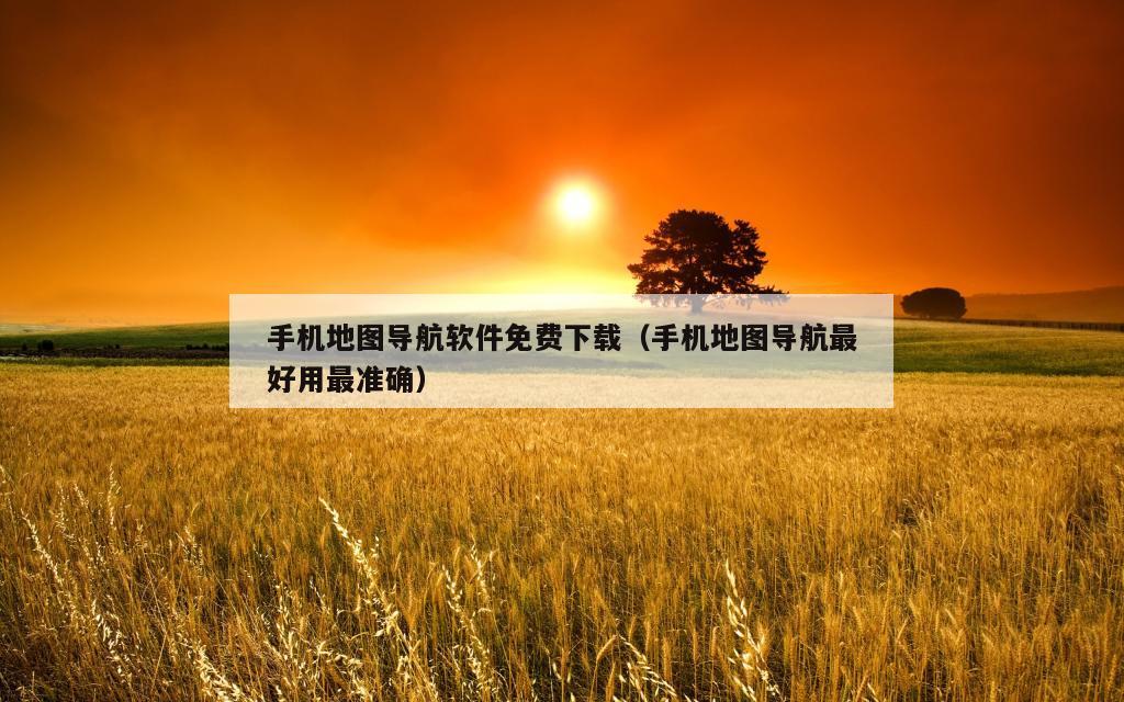 手机地图导航软件免费下载（手机地图导航最好用最准确）