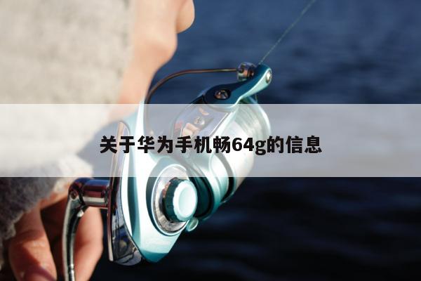 关于华为手机畅64g的信息