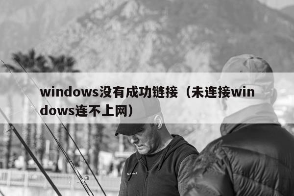 windows没有成功链接（未连接windows连不上网）