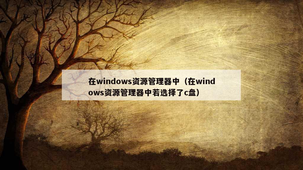 在windows资源管理器中（在windows资源管理器中若选择了c盘）