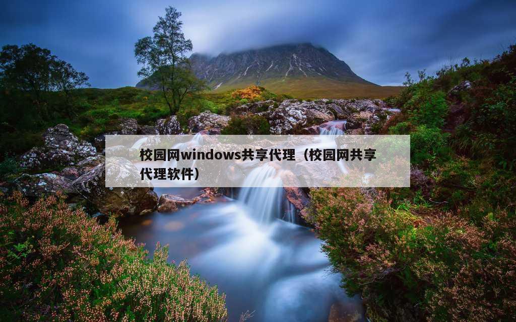 校园网windows共享代理（校园网共享代理软件）