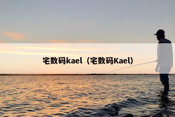 宅数码kael（宅数码Kael）