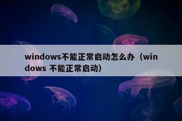 windows不能正常启动怎么办（windows 不能正常启动）