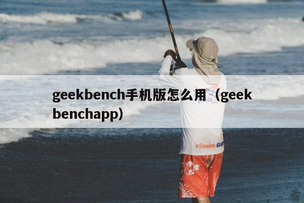 geekbench手机版怎么用（geekbenchapp）