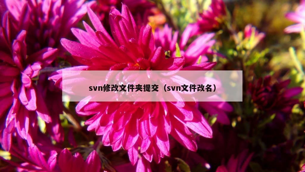 svn修改文件夹提交（svn文件改名）