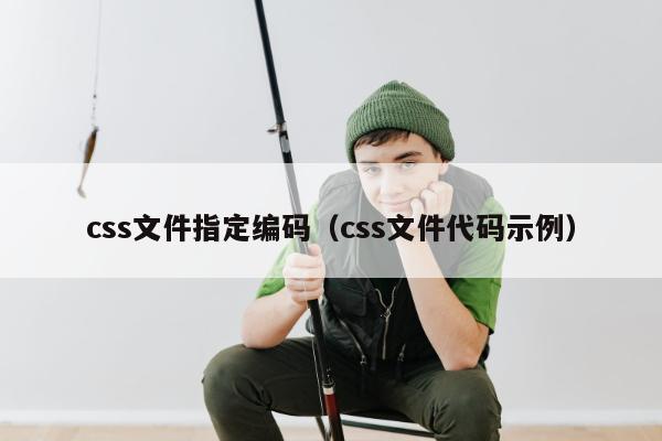 css文件指定编码（css文件代码示例）