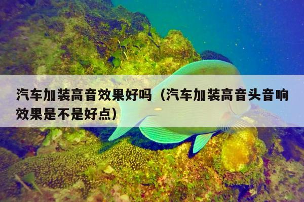 汽车加装高音效果好吗（汽车加装高音头音响效果是不是好点）