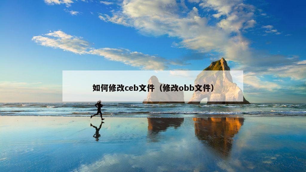 如何修改ceb文件（修改obb文件）