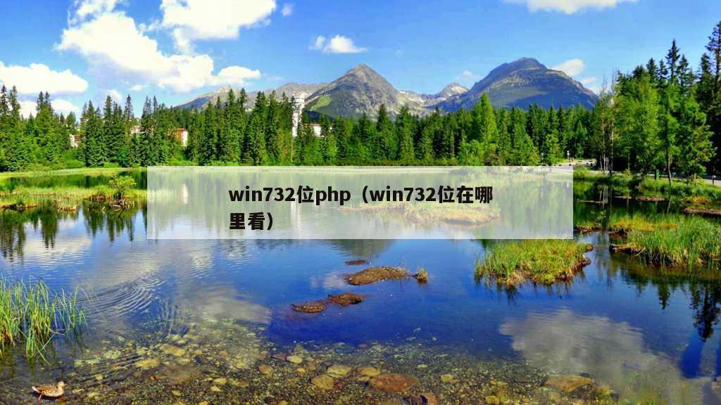 win732位php（win732位在哪里看）