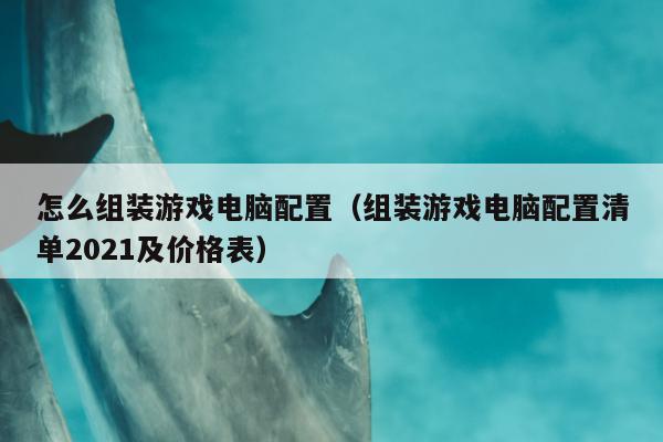 怎么组装游戏电脑配置（组装游戏电脑配置清单2021及价格表）