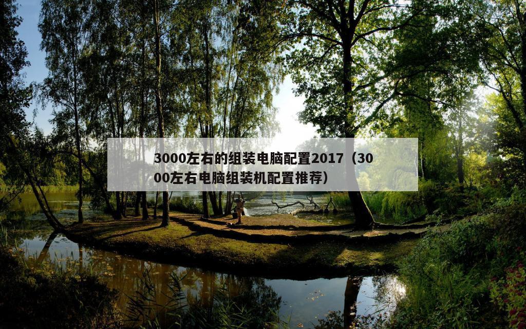 3000左右的组装电脑配置2017（3000左右电脑组装机配置推荐）