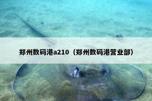 郑州数码港a210（郑州数码港营业部）