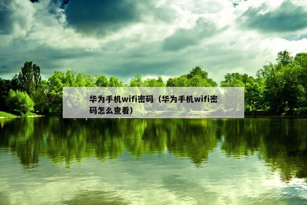 华为手机wifi密码（华为手机wifi密码怎么查看）