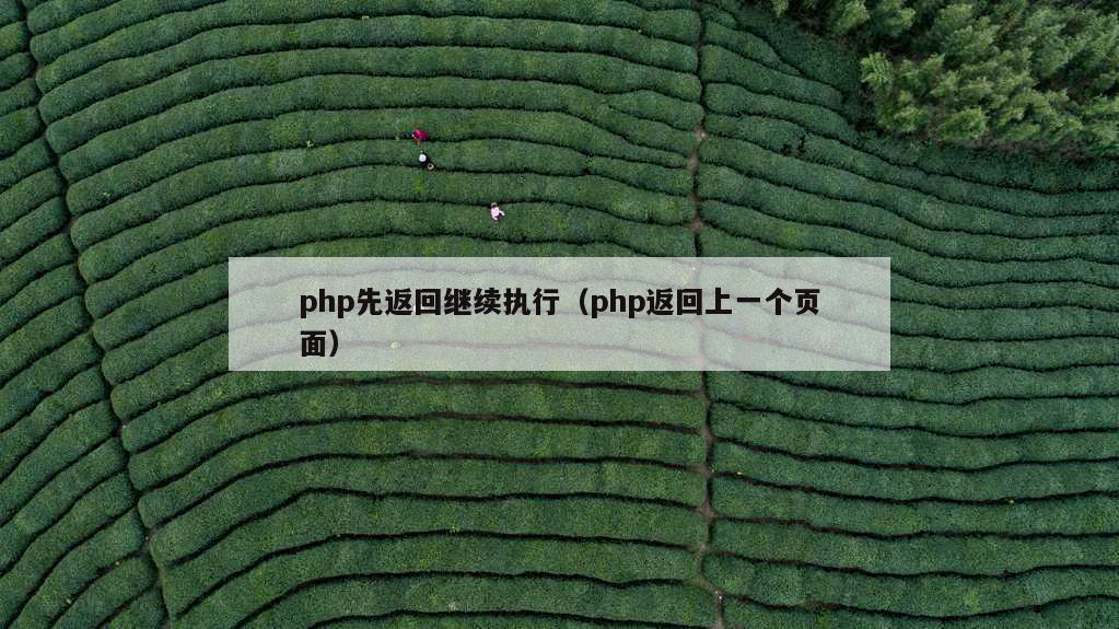 php先返回继续执行（php返回上一个页面）