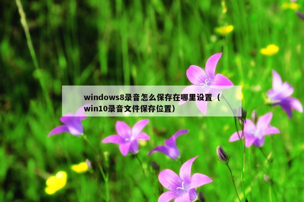 windows8录音怎么保存在哪里设置（win10录音文件保存位置）