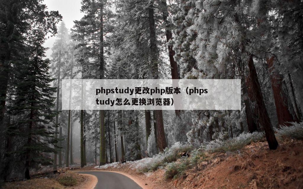 phpstudy更改php版本（phpstudy怎么更换浏览器）