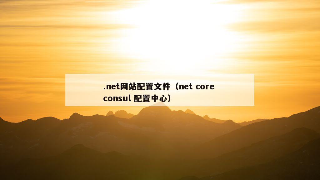 .net网站配置文件（net core consul 配置中心）