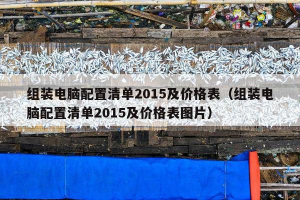 组装电脑配置清单2015及价格表（组装电脑配置清单2015及价格表图片）