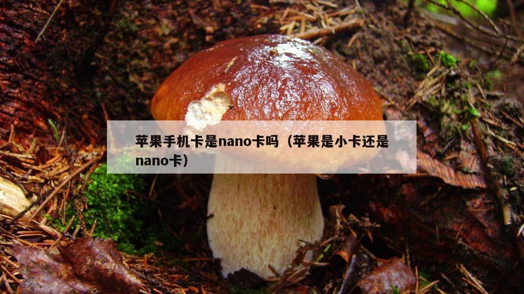 苹果手机卡是nano卡吗（苹果是小卡还是nano卡）