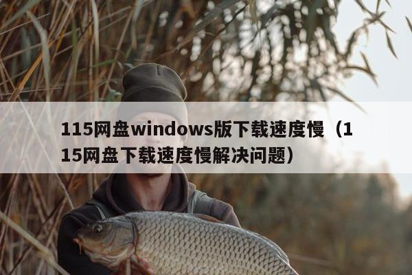 115网盘windows版下载速度慢（115网盘下载速度慢解决问题）