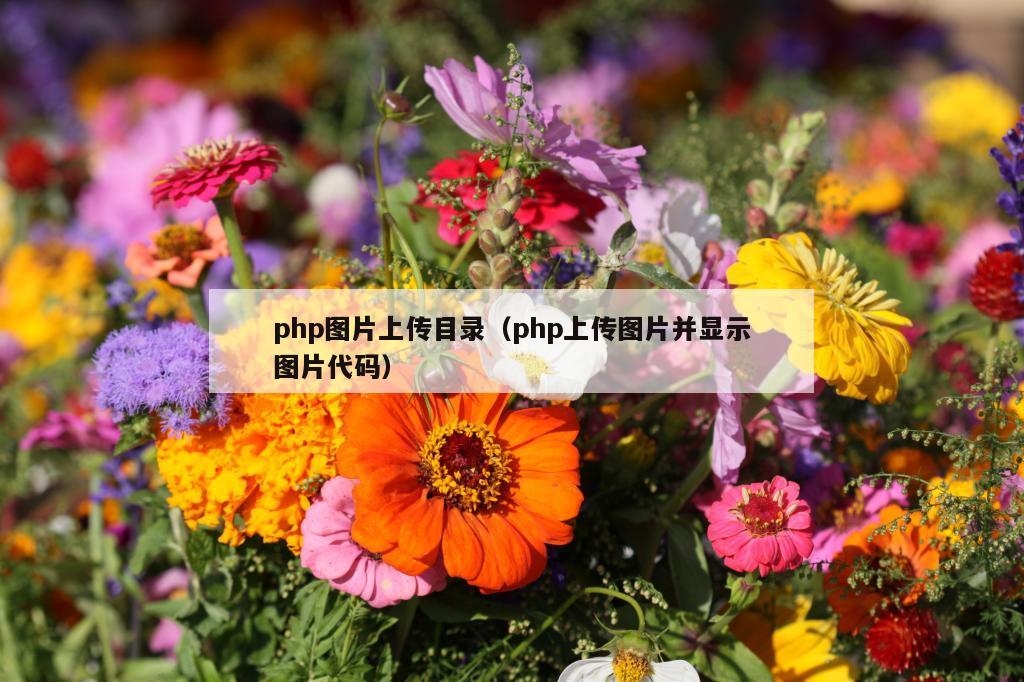 php图片上传目录（php上传图片并显示图片代码）