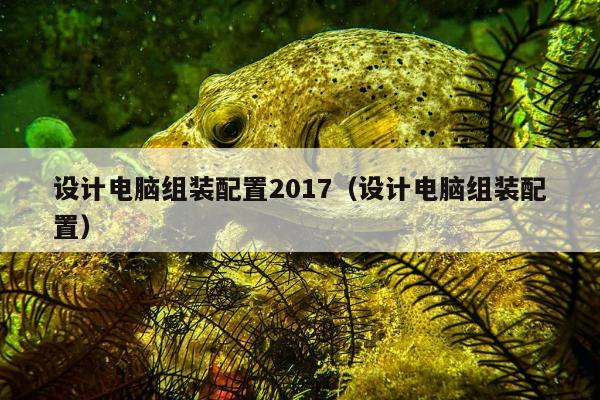 设计电脑组装配置2017（设计电脑组装配置）