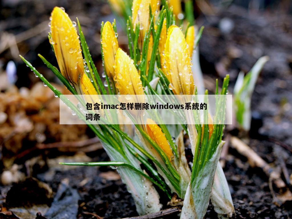 包含imac怎样删除windows系统的词条