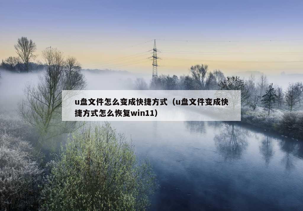 u盘文件怎么变成快捷方式（u盘文件变成快捷方式怎么恢复win11）