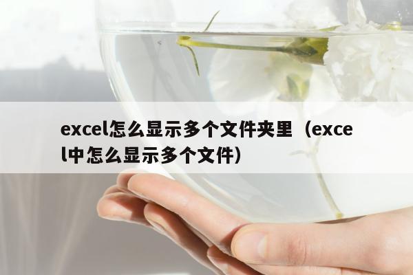 excel怎么显示多个文件夹里（excel中怎么显示多个文件）