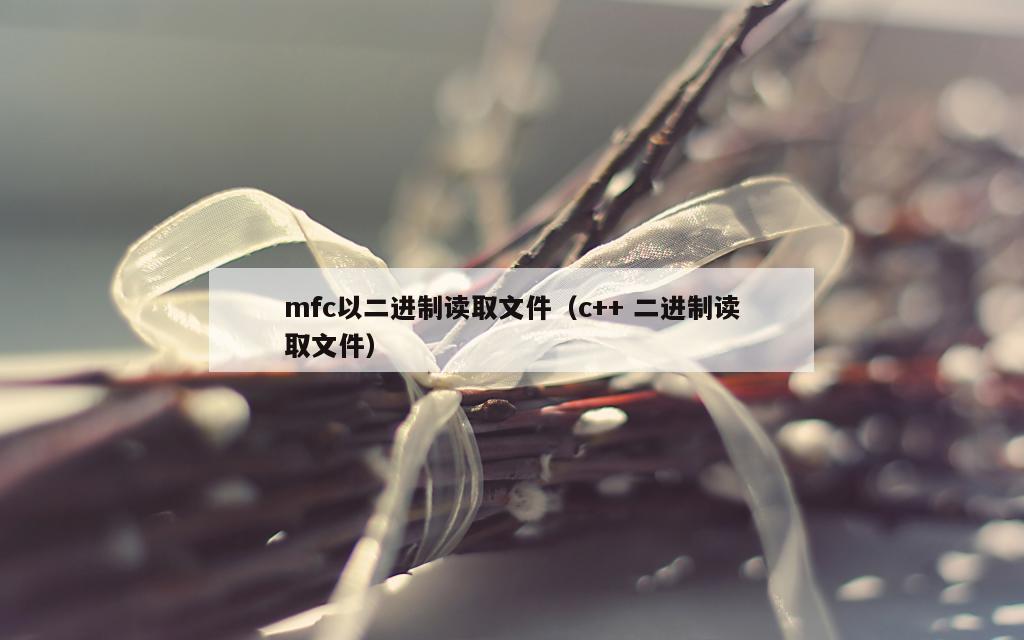 mfc以二进制读取文件（c++ 二进制读取文件）