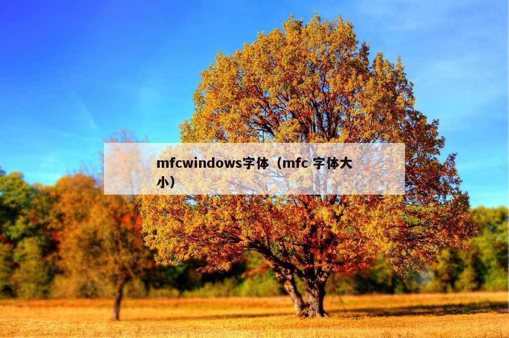 mfcwindows字体（mfc 字体大小）