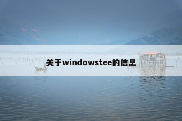 关于windowstee的信息