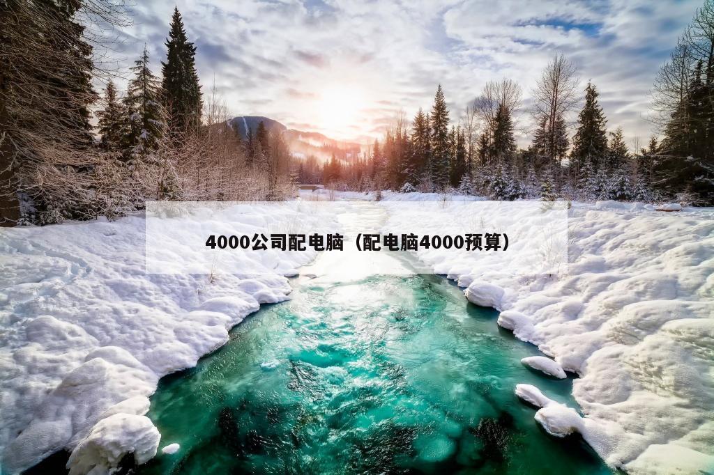 4000公司配电脑（配电脑4000预算）